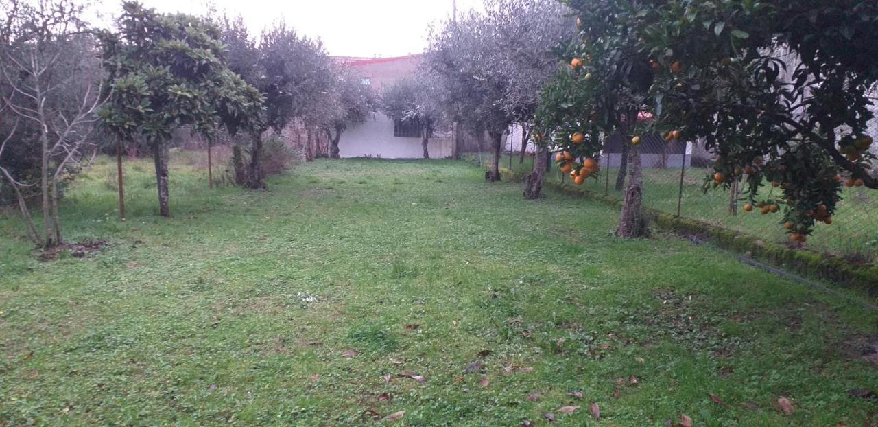 Casa Do Adro Villa Arcozelo  Buitenkant foto